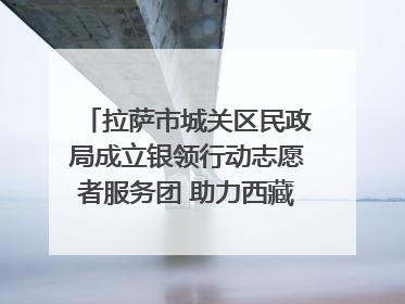 拉萨市城关区民政局成立银领行动志愿者服务团 助力西藏银发经济发展