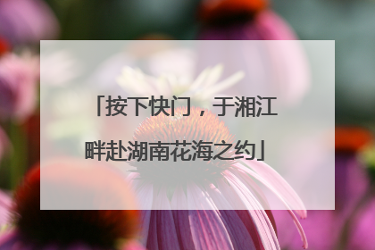 按下快门，于湘江畔赴湖南花海之约