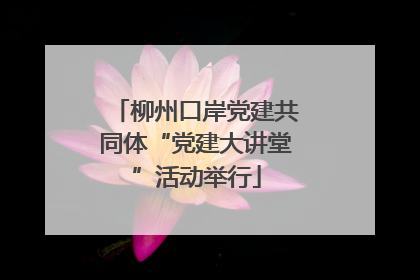 柳州口岸党建共同体“党建大讲堂”活动举行