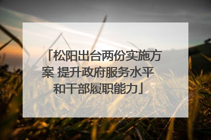 松阳出台两份实施方案 提升政府服务水平和干部履职能力