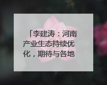 李建涛：河南产业生态持续优化，期待与各地携手谱写合作新篇章