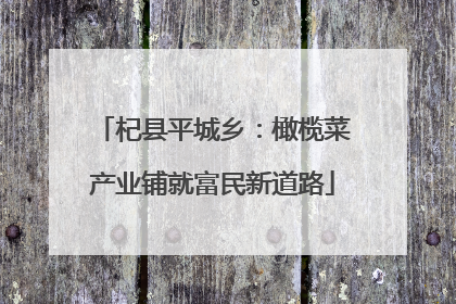 杞县平城乡：橄榄菜产业铺就富民新道路
