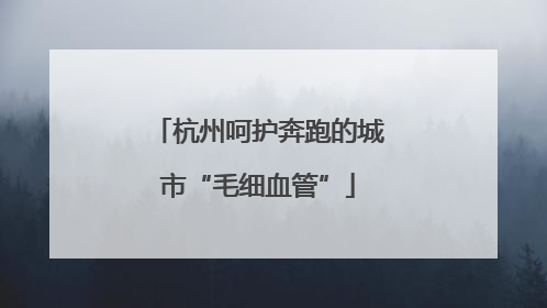 杭州呵护奔跑的城市“毛细血管”