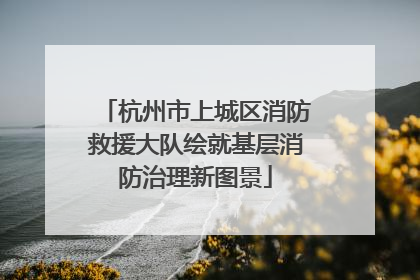 杭州市上城区消防救援大队绘就基层消防治理新图景