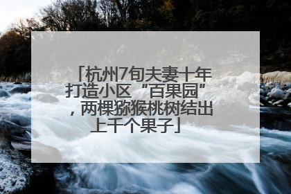 杭州7旬夫妻十年打造小区“百果园”，两棵猕猴桃树结出上千个果子