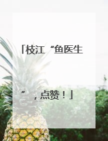 枝江“鱼医生”，点赞！