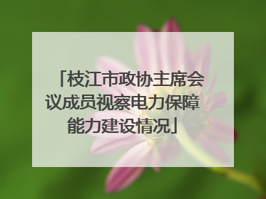 枝江市政协主席会议成员视察电力保障能力建设情况