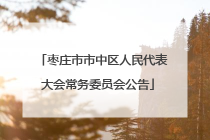 枣庄市市中区人民代表大会常务委员会公告