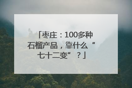 枣庄：100多种石榴产品，靠什么“七十二变”？