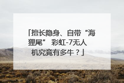 擅长隐身、自带“海狸尾” 彩虹-7无人机究竟有多牛？
