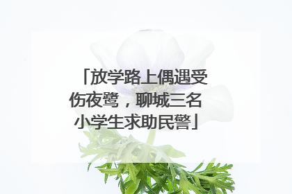 放学路上偶遇受伤夜鹭，聊城三名小学生求助民警