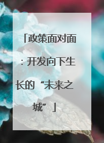 政策面对面：开发向下生长的“未来之城”