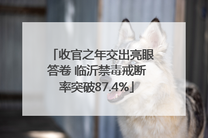收官之年交出亮眼答卷 临沂禁毒戒断率突破87.4%