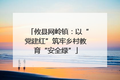 攸县网岭镇：以“党建红”筑牢乡村教育“安全绿”