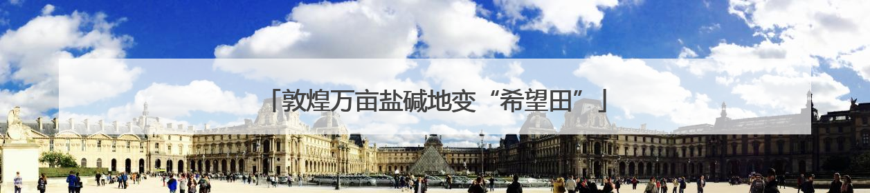 敦煌万亩盐碱地变“希望田”