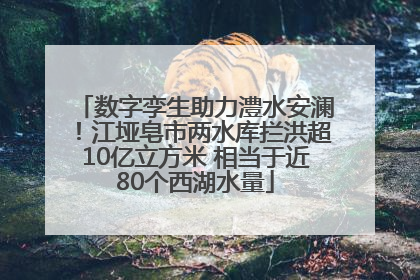 数字孪生助力澧水安澜！江垭皂市两水库拦洪超10亿立方米 相当于近80个西湖水量