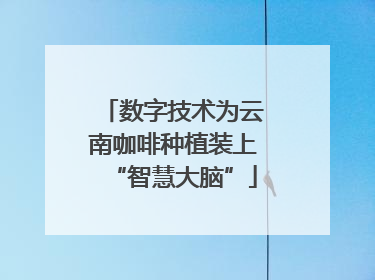 数字技术为云南咖啡种植装上“智慧大脑”
