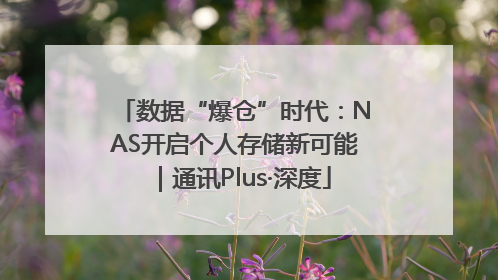 数据“爆仓”时代：NAS开启个人存储新可能｜通讯Plus·深度