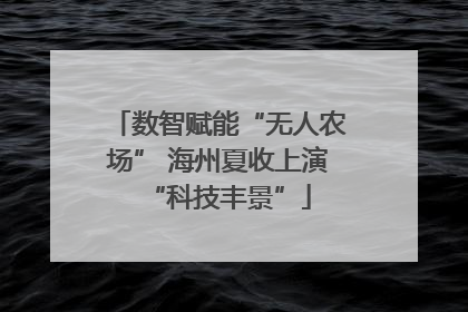 数智赋能“无人农场” 海州夏收上演“科技丰景”