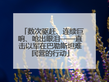 数次驱赶、连续巨响、呛出眼泪——直击以军在巴勒斯坦难民营的行动