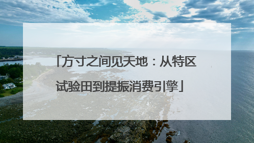 方寸之间见天地：从特区试验田到提振消费引擎