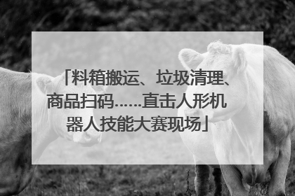 料箱搬运、垃圾清理、商品扫码……直击人形机器人技能大赛现场