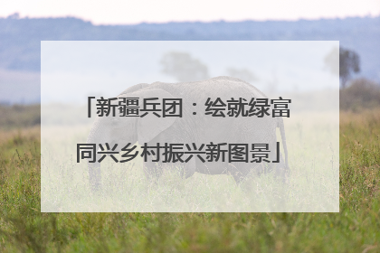 新疆兵团：绘就绿富同兴乡村振兴新图景