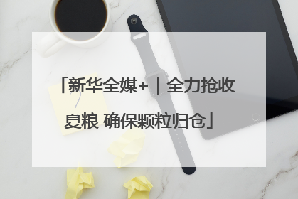 新华全媒+｜全力抢收夏粮 确保颗粒归仓