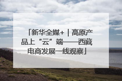 新华全媒+｜高原产品上“云”端——西藏电商发展一线观察