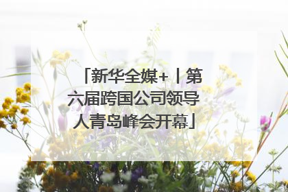 新华全媒+丨第六届跨国公司领导人青岛峰会开幕