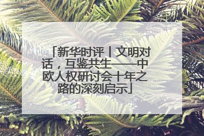 新华时评丨文明对话，互鉴共生——中欧人权研讨会十年之路的深刻启示