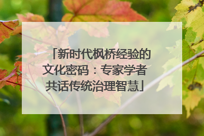 新时代枫桥经验的文化密码：专家学者共话传统治理智慧