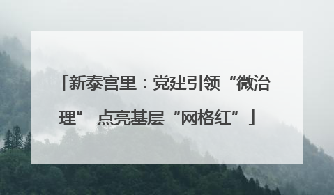 新泰宫里：党建引领“微治理” 点亮基层“网格红”