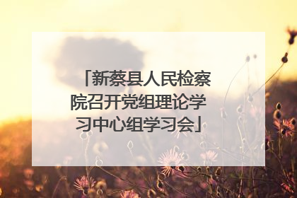 新蔡县人民检察院召开党组理论学习中心组学习会