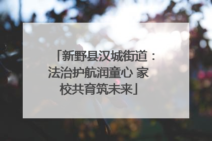 新野县汉城街道：法治护航润童心 家校共育筑未来