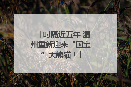 时隔近五年 温州重新迎来“国宝”大熊猫！
