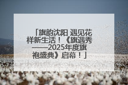 旗韵沈阳 遇见花样新生活！《旗遇秀——2025年度旗袍盛典》启幕！