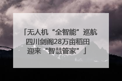 无人机“全智能”巡航 四川剑阁28万亩稻田迎来“智慧管家”