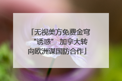 无视美方免费金穹“诱惑” 加拿大转向欧洲谋国防合作