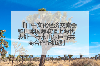 日中文化经济交流会和世博国际联盟上海代表处一行来山东巨野共商合作新机遇