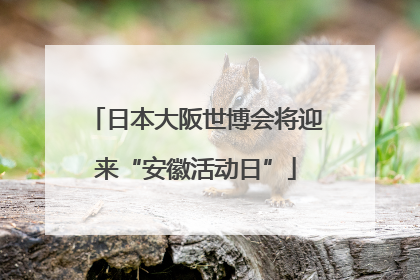 日本大阪世博会将迎来“安徽活动日”