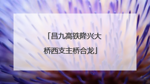 昌九高铁隆兴大桥西支主桥合龙