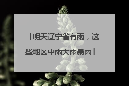 明天辽宁省有雨，这些地区中雨大雨暴雨