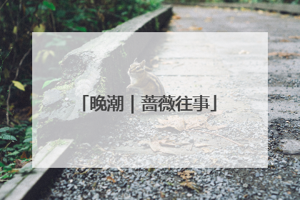 晚潮｜蔷薇往事