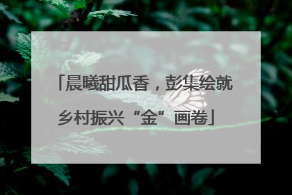 晨曦甜瓜香，彭集绘就乡村振兴“金”画卷