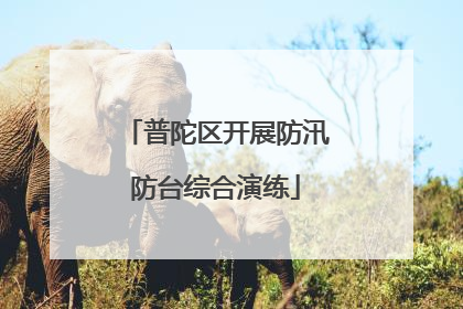 普陀区开展防汛防台综合演练