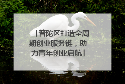 普陀区打造全周期创业服务链，助力青年创业启航
