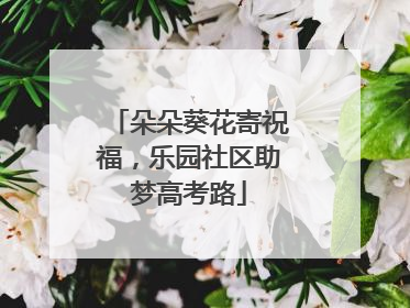 朵朵葵花寄祝福，乐园社区助梦高考路