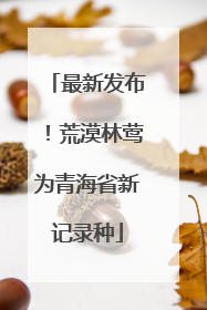 最新发布！荒漠林莺为青海省新记录种
