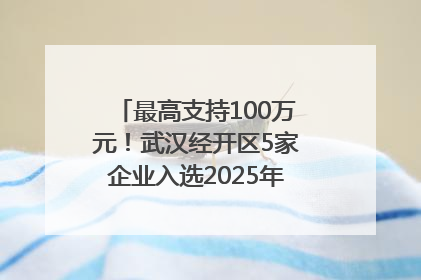 最高支持100万元！武汉经开区5家企业入选2025年度武汉市重点研发计划拟立项项目名单